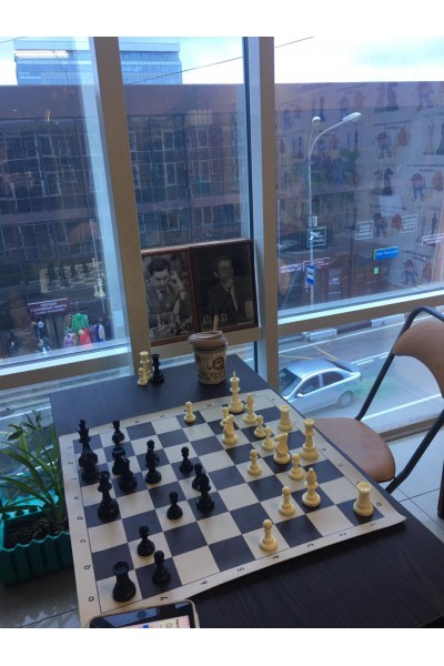 Занятие шахматами со взрослыми в Адлере